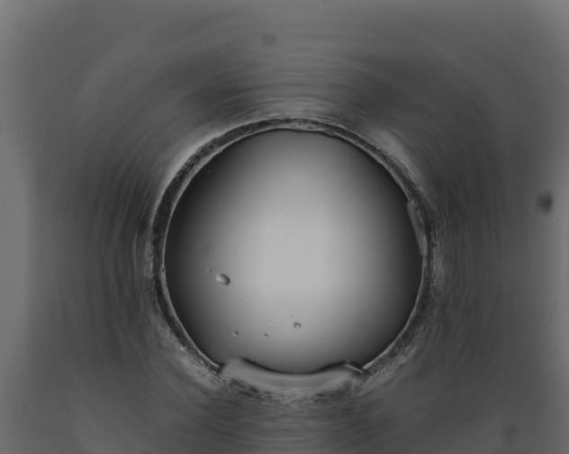 X0000089930924200707061036