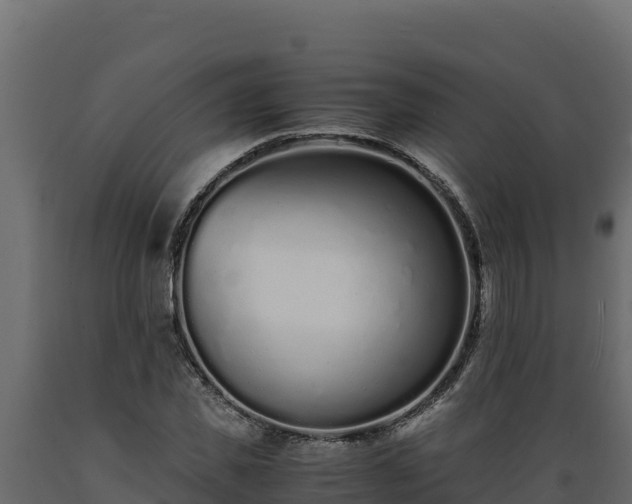 X0000089930925200707061036