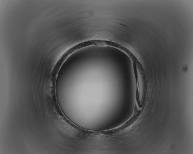 X0000089930926200707061036