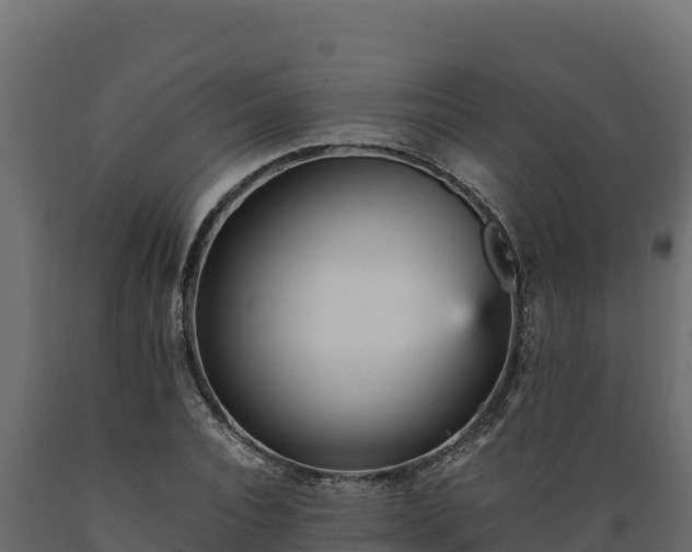 X0000089930928200707061036