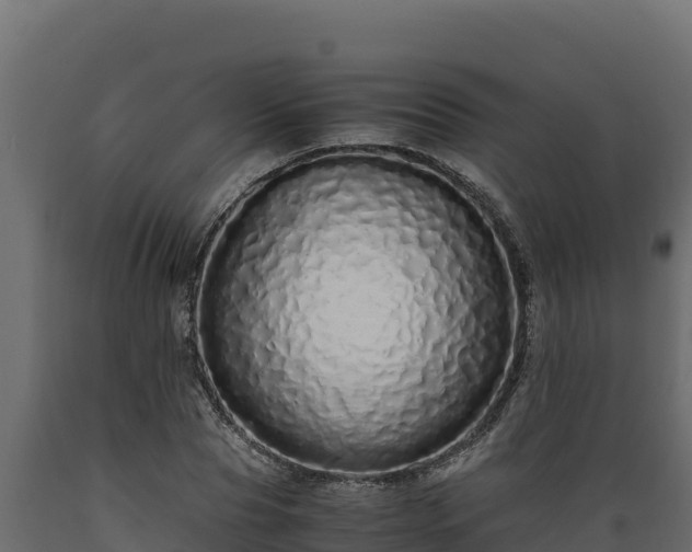 X0000089930929200707061036