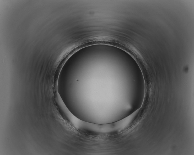 X0000089930930200707061036