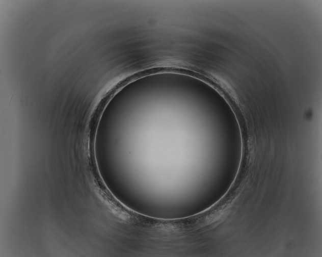 X0000089930931200707061036