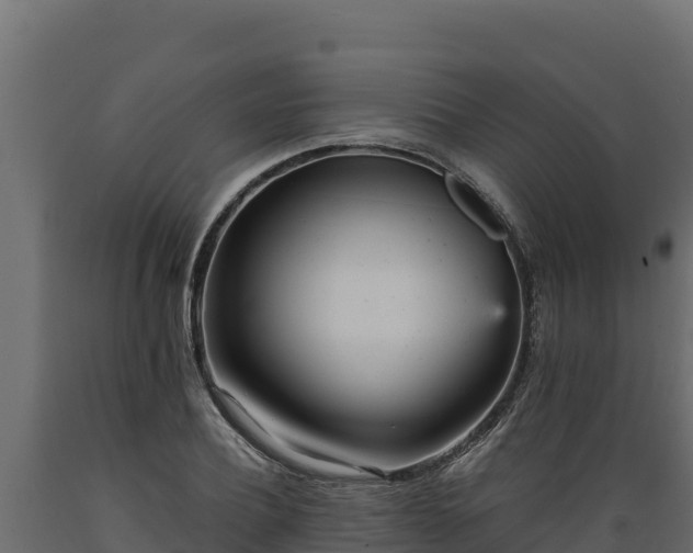 X0000089930932200707061036