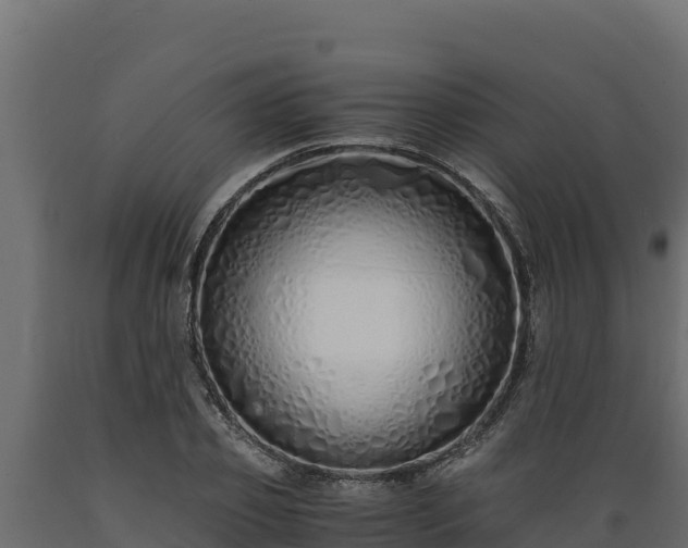 X0000089930933200707061036