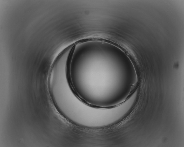 X0000089930936200707061036