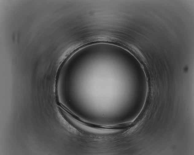 X0000089930938200707061036