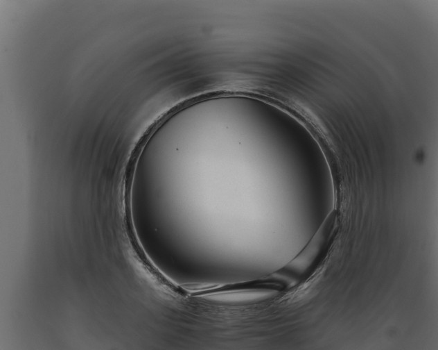 X0000089930939200707061036