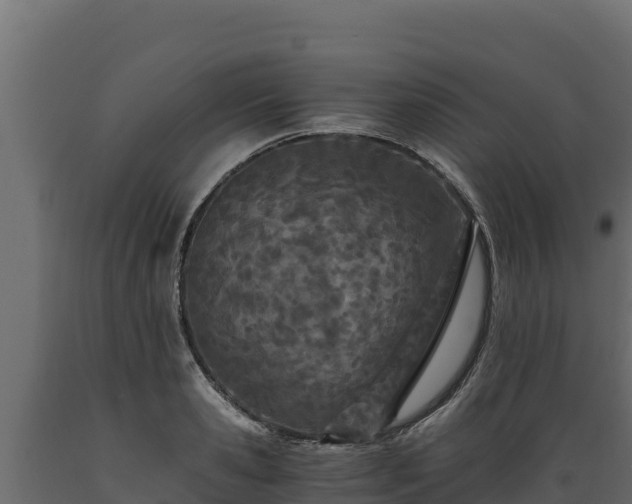 X0000089930941200707061036