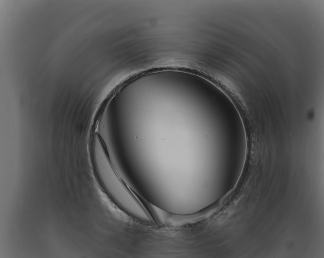 X0000089930942200707061036