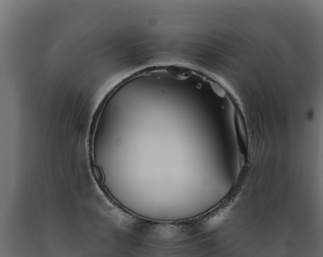 X0000089930943200707061036