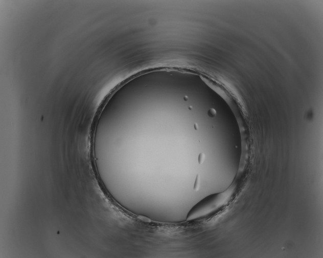 X0000089930944200707061036