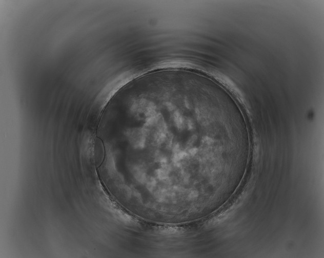 X0000089930945200707061036