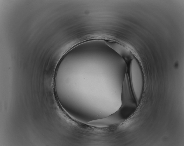 X0000089930946200707061036