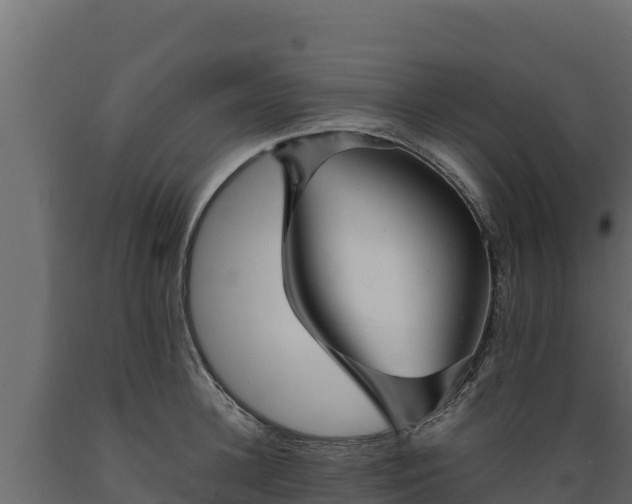 X0000089930948200707061036