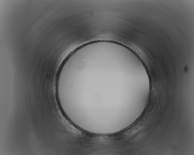 X0000089930950200707061036