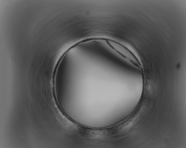 X0000089930951200707061037