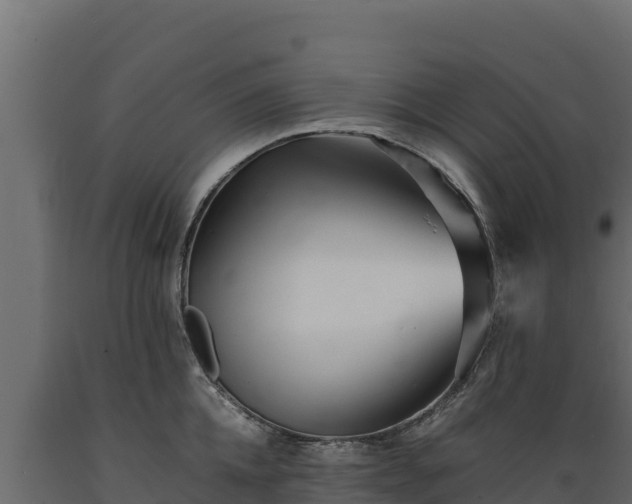 X0000089930952200707061037