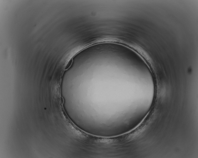 X0000089930953200707061037