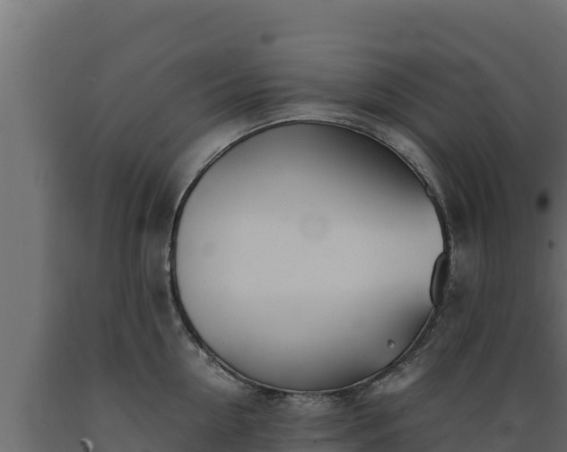 X0000089930954200707061037