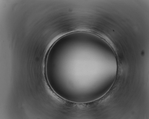 X0000089930955200707061037