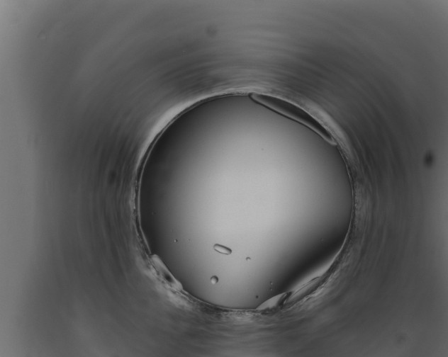 X0000089930956200707061037