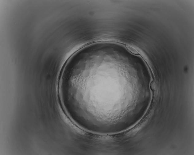 X0000089930957200707061037