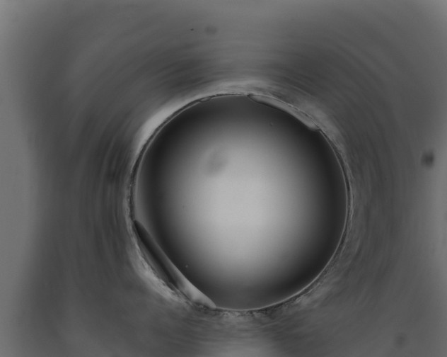 X0000089930960200707061037