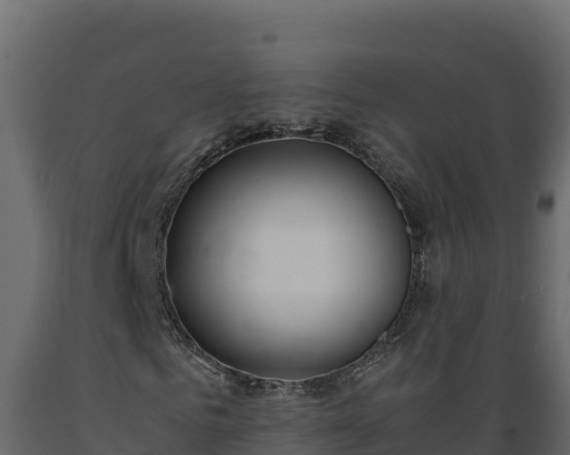 X0000089930961200707061036