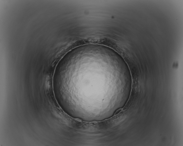 X0000089930962200707061036