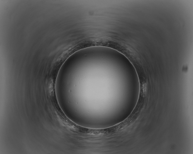 X0000089930963200707061036