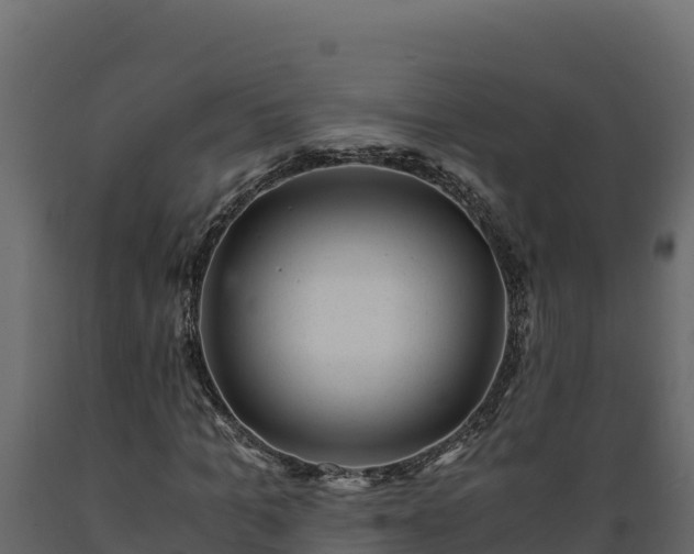 X0000089930965200707061036