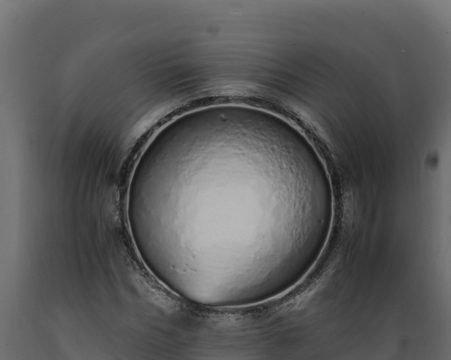 X0000089930970200707061036