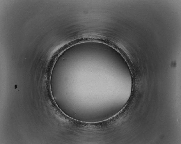 X0000089930971200707061036