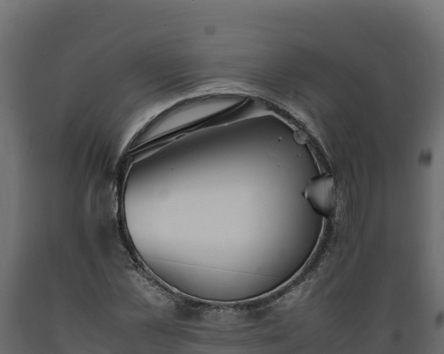 X0000089930973200707061036