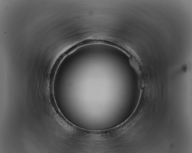 X0000089930976200707061036