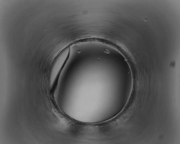 X0000089930977200707061036