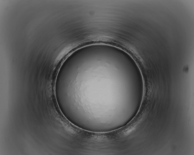 X0000089930978200707061036