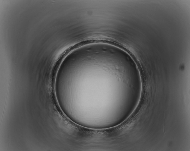 X0000089930979200707061036