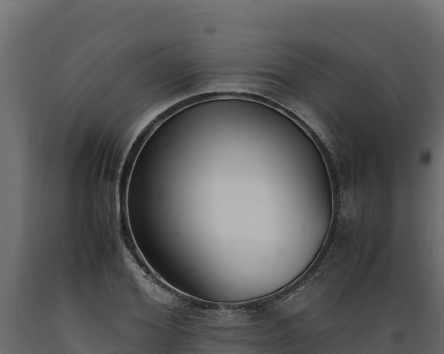 X0000089930980200707061036