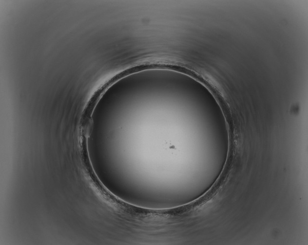 X0000089930981200707061036