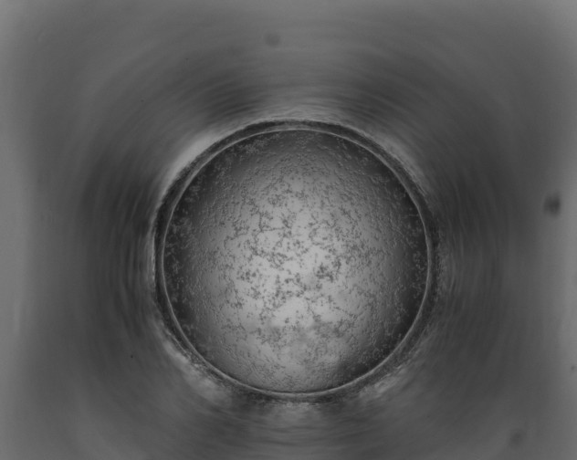 X0000089930982200707061036