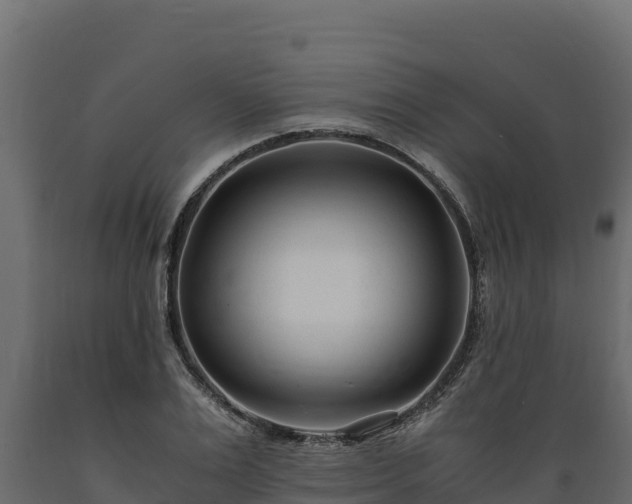 X0000089930983200707061036