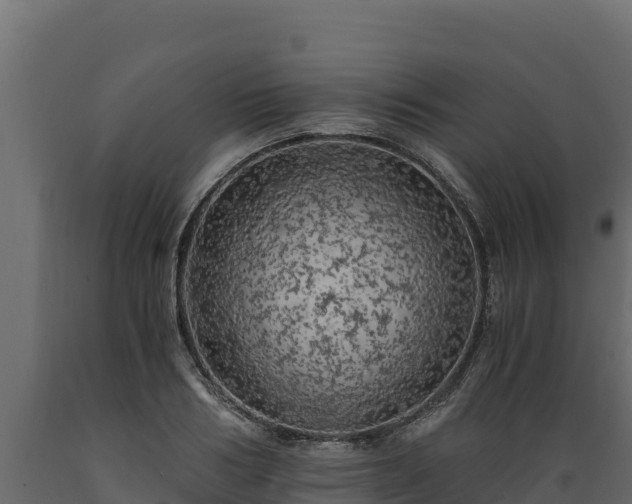 X0000089930986200707061036