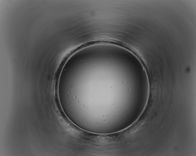 X0000089930987200707061036