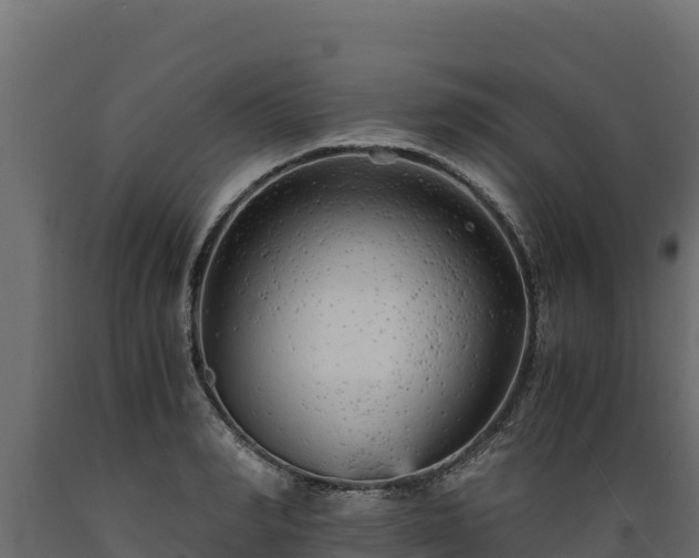 X0000089930990200707061036