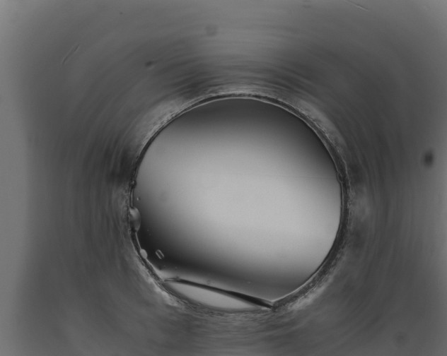 X0000089930993200707061036