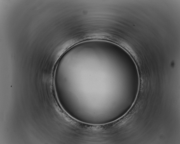 X0000089930994200707061036