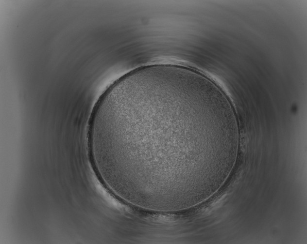 X0000089930995200707061036