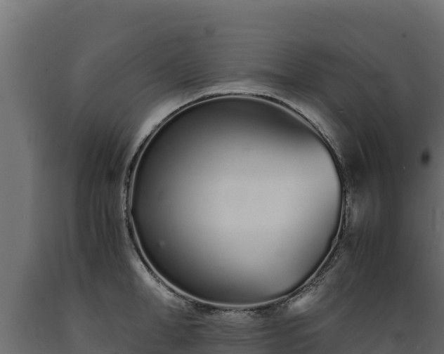 X0000089930998200707061036